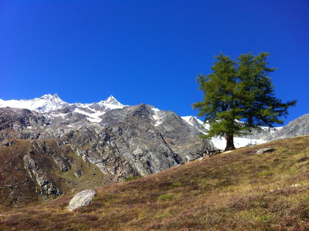 Apartmenthaus Sunshine Saas-Grund Esterno foto